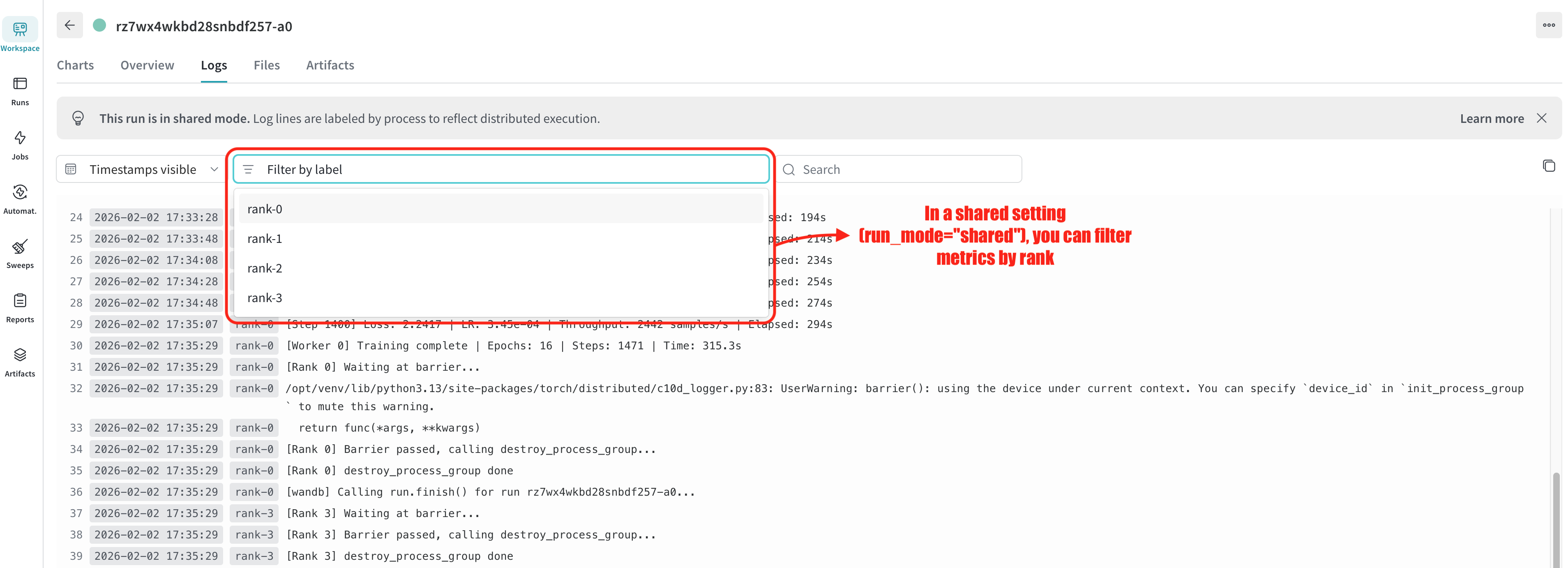 Single-node shared W&B UI